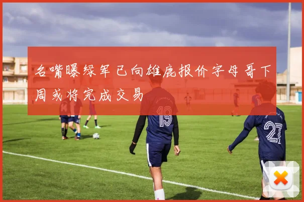 名嘴曝绿军已向雄鹿报价字母哥下周或将完成交易